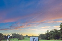 RLF-141 RLF-141